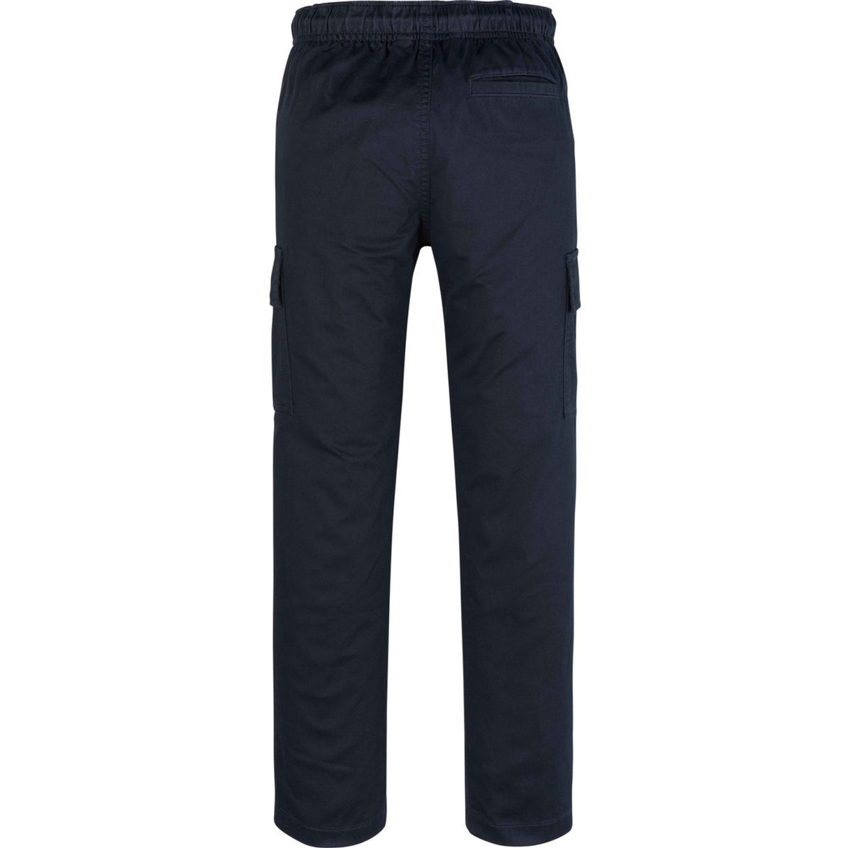 Tommy Hilfiger Desert Sky Cargo Pull On Pants 7