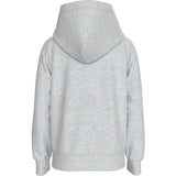 Calvin Klein Ivory Grey Heather Inst. LAndo Reg. Terry Hoodie 5