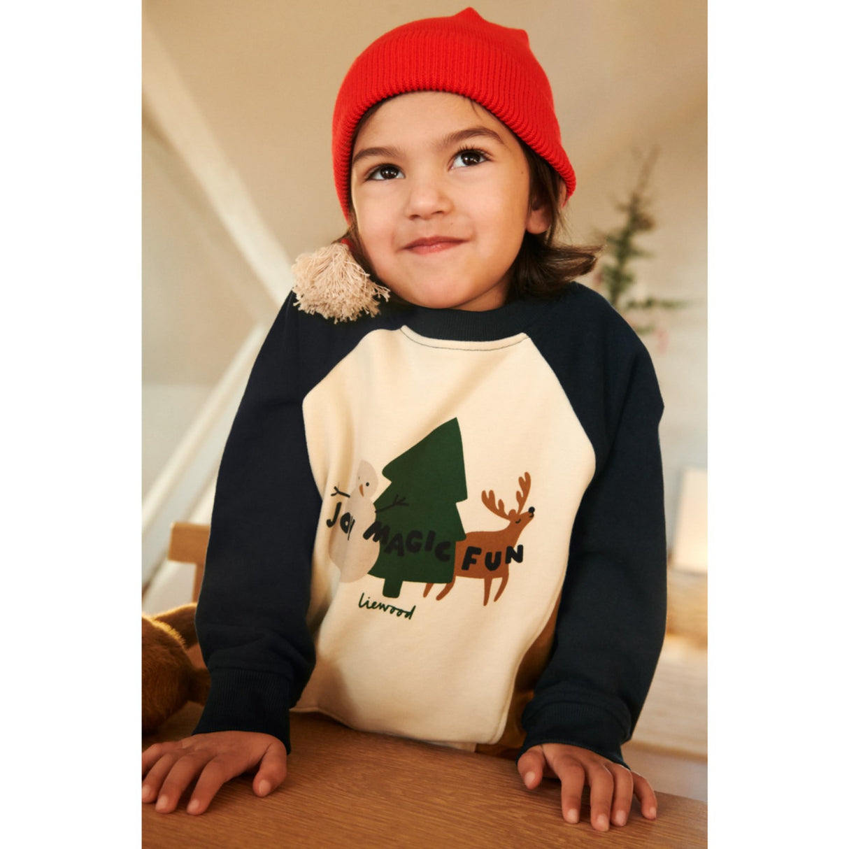 LieWood Holiday Friends / Sandy Aude Placement Sweaters