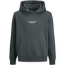 Jack & Jones Junior Forest River  Jorvesterbro Sweat Hoodie Noos