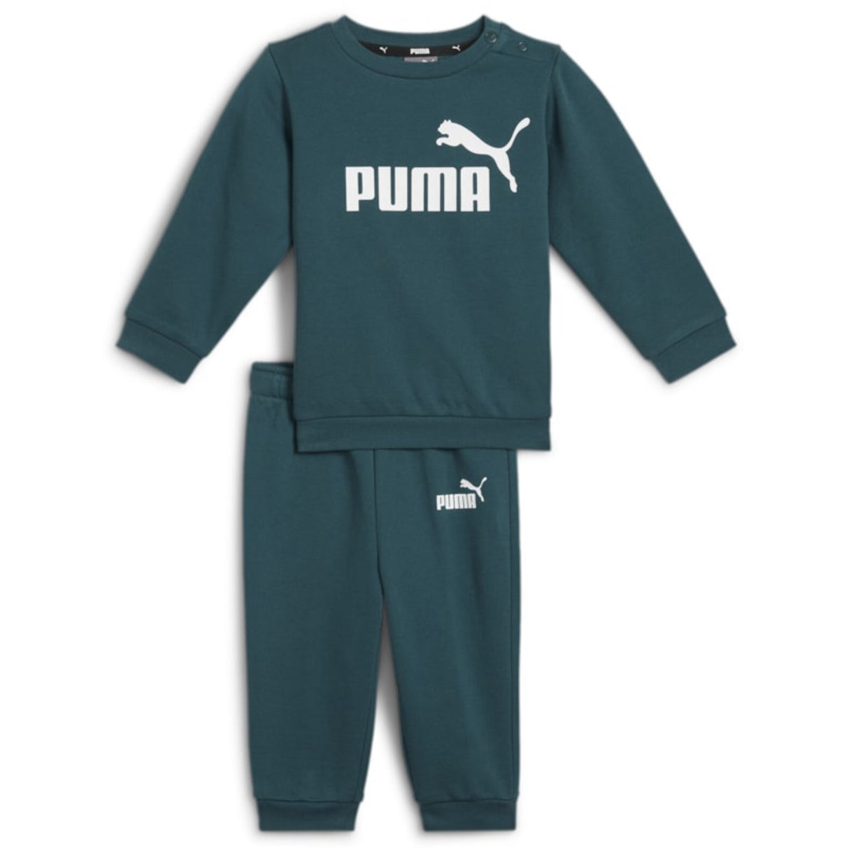 Puma  Minicats ESS Crew JAndger FL