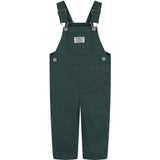 Levi's GREEN Carpenter Overalls