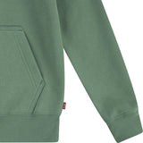 Levi's GREEN Lasso It Up Pullover Hoodie