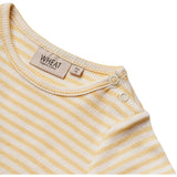 Wheat Apricot Stripe Body S/S Elisa