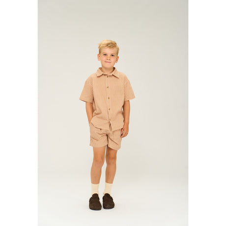 The New Indian Tan Striped Ollie Shirt