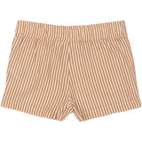 THE NEW Siblings Indian Tan Striped Opal Shorts