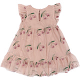 THE NEW Siblings Adobe Rose EMB Oriana Dress