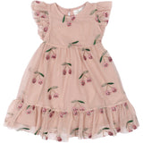 THE NEW Siblings Adobe Rose EMB Oriana Dress