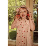 Flöss Pink Berry Gingham Dolly Dress