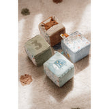 Little Dutch Forest Friends Blue Activity Cubes 4-Pack