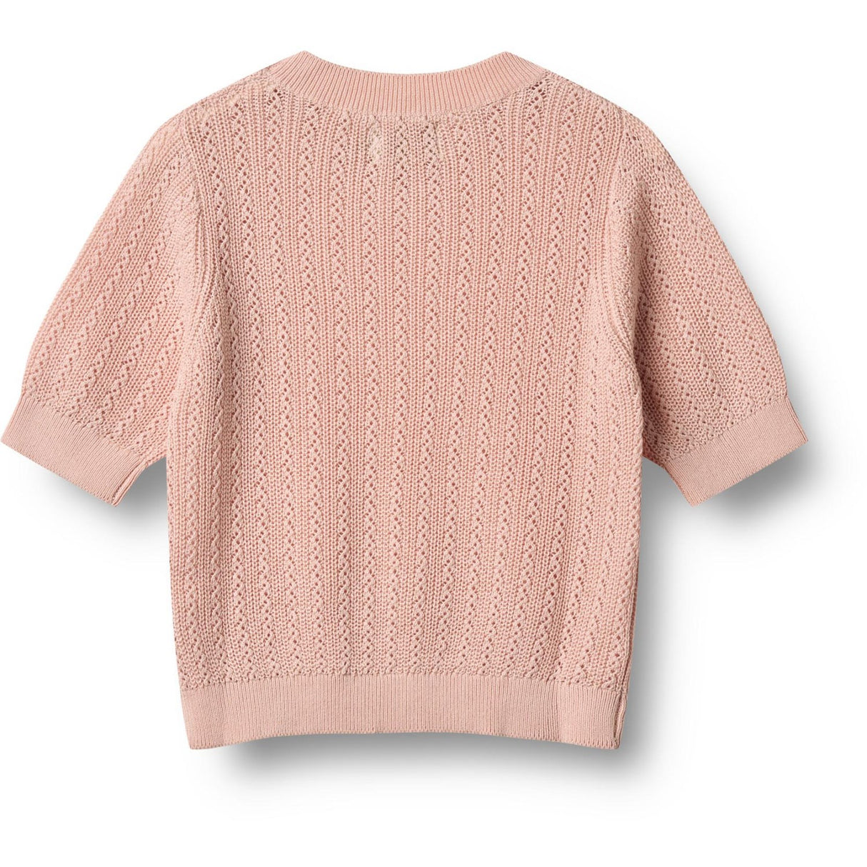 Wheat Powder Knit Top S/S Alva
