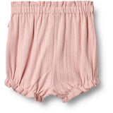 Wheat Rose Sprinkle Jersey Shorts Lace Sonja