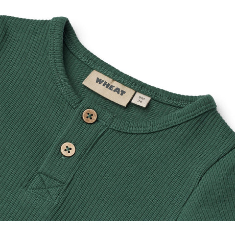Wheat Green Tea Body L/S Benny