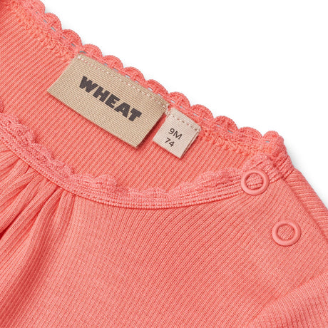 Wheat Light Coral Rib Body L/S Lotta