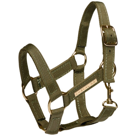 Cheval Roi Halter for hobbyhorse Sage green