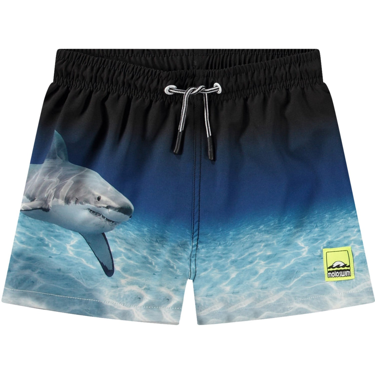 Molo Faded Shark Niko Boardies