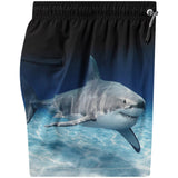 Molo Faded Shark Niko Boardies