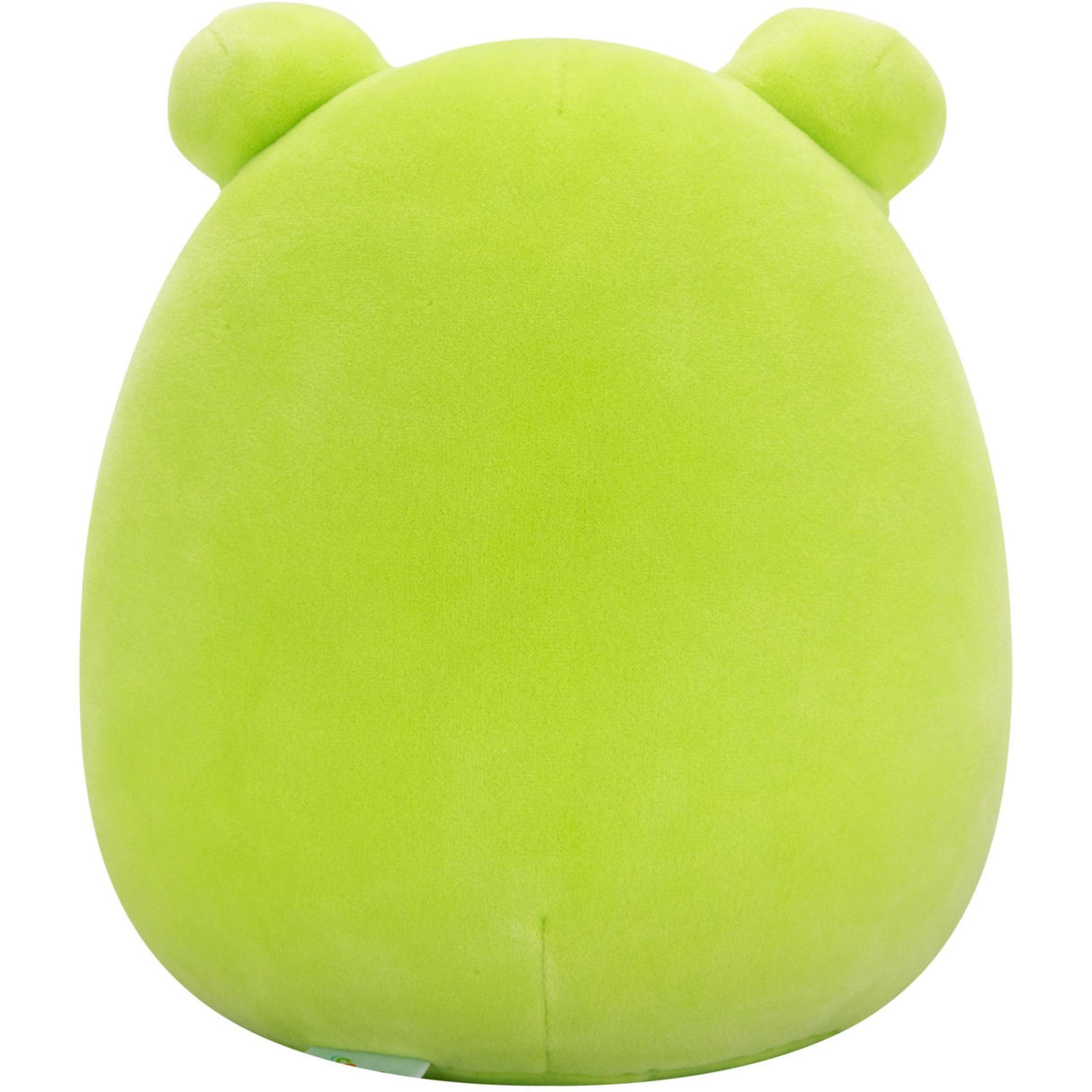 Squishmallows Wendy Frog 19 cm