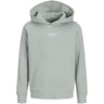 Jack & Jones Junior Aqua Gray Tarmac Camo Back Print Hoodie