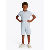 Tommy Hilfiger Breezy Blue Heather Essential Cotton Reg T-Shirt