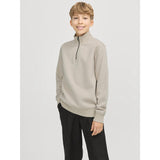 Jack & Jones Junior Moonbeam Bradley Sweatshirt Half Zip Noos