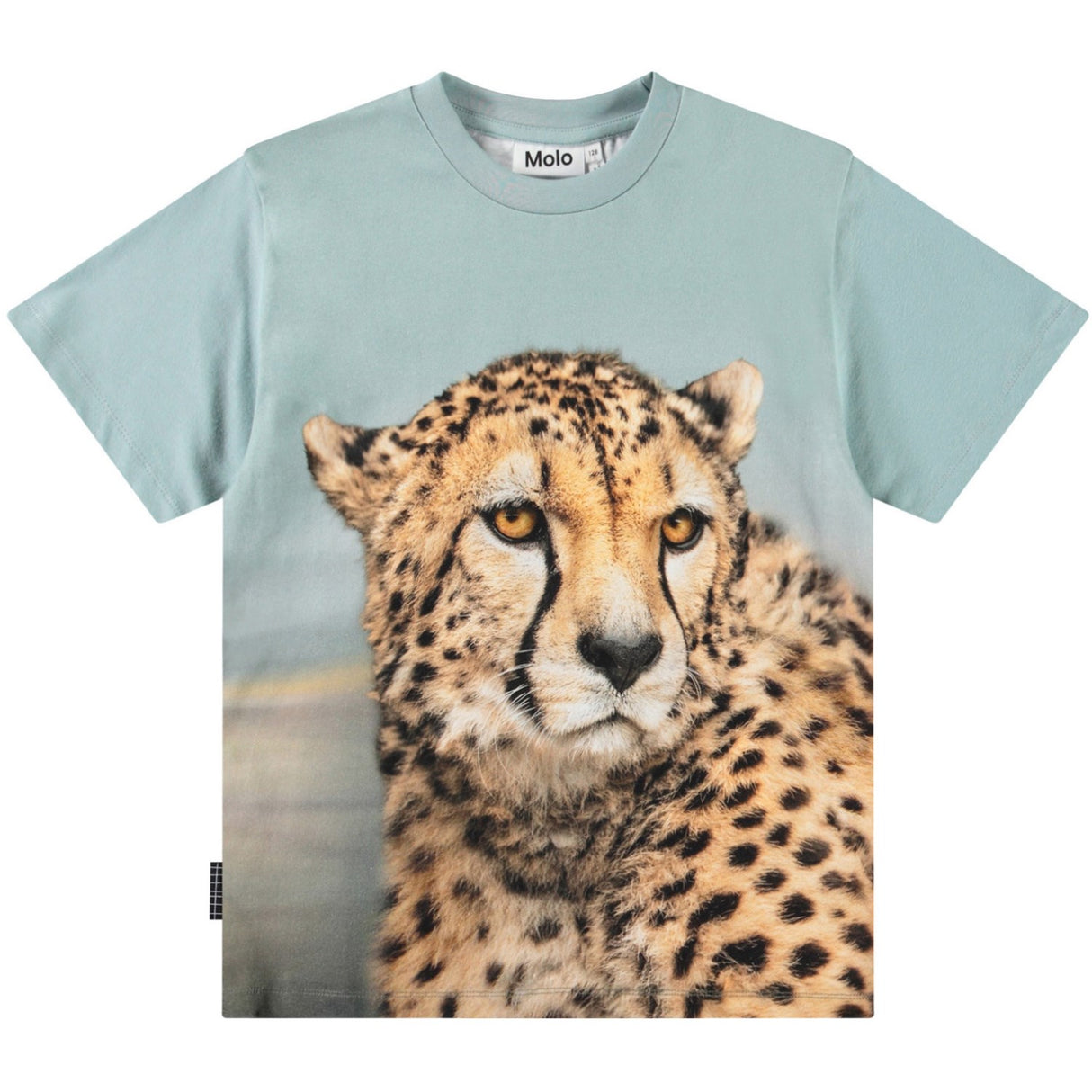 Molo Big Cheetah Blue Rubin T-Shirt