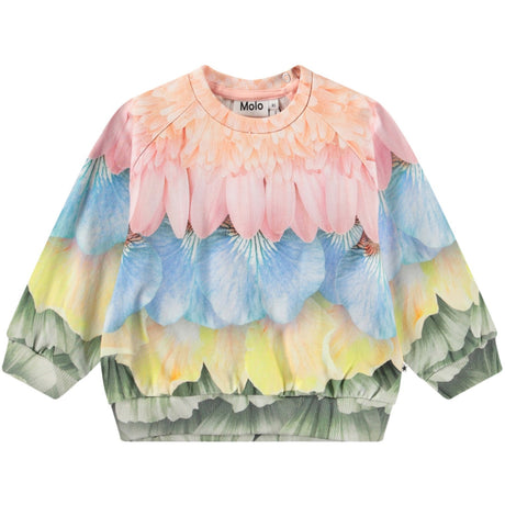Molo Petal Rainbow Disc Sweatshirt