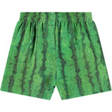 Molo Melancia Suno Shorts