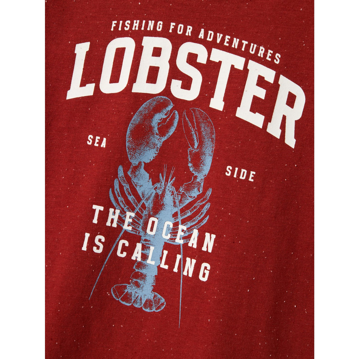 Name It Red Ochre Fabi Regular T-Shirt