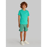 Calvin Klein Bahama Green Chest Inst.Logo Ss T-Shirt