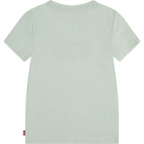 Levi's Celadon Lvg Batwing Tee