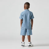 Levi's From Scratch No Destruction Lvb Skate Shorts