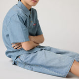 Levi's From Scratch No Destruction Lvb Skate Shorts