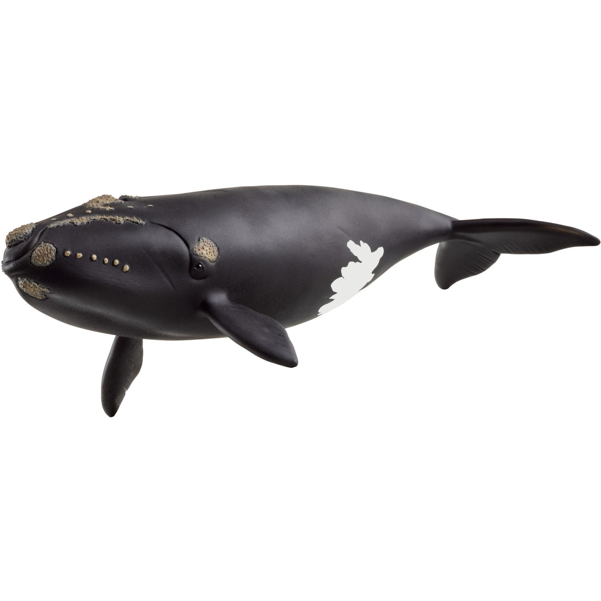 Schleich North Atlantic Right Whale