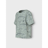 Name It Aqua Gray Tone Dino Valther Regular T-Shirt