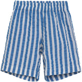 Serendipity Azur Stripe Long Shorts