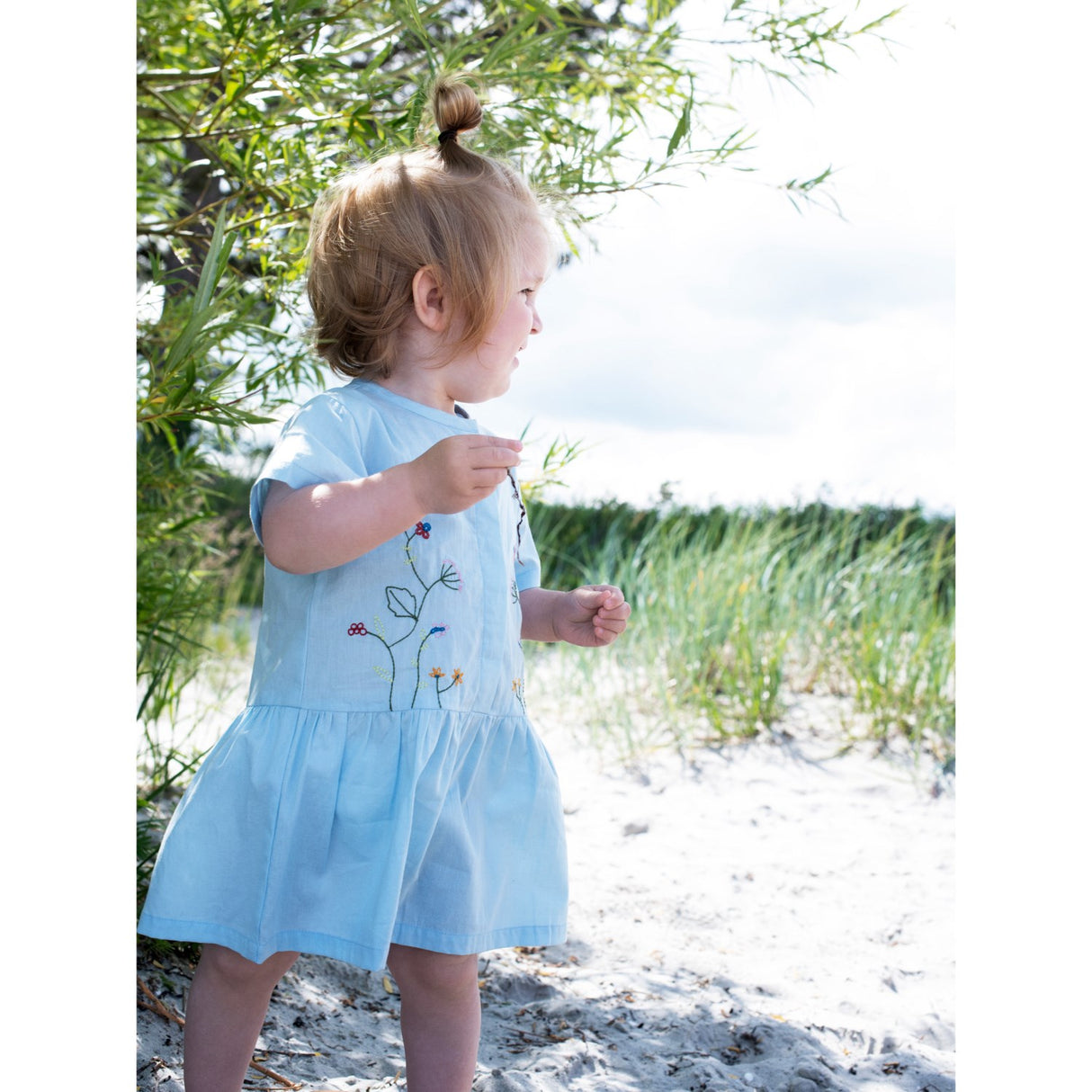 Serendipity Horizon Baby Embroidery Dress