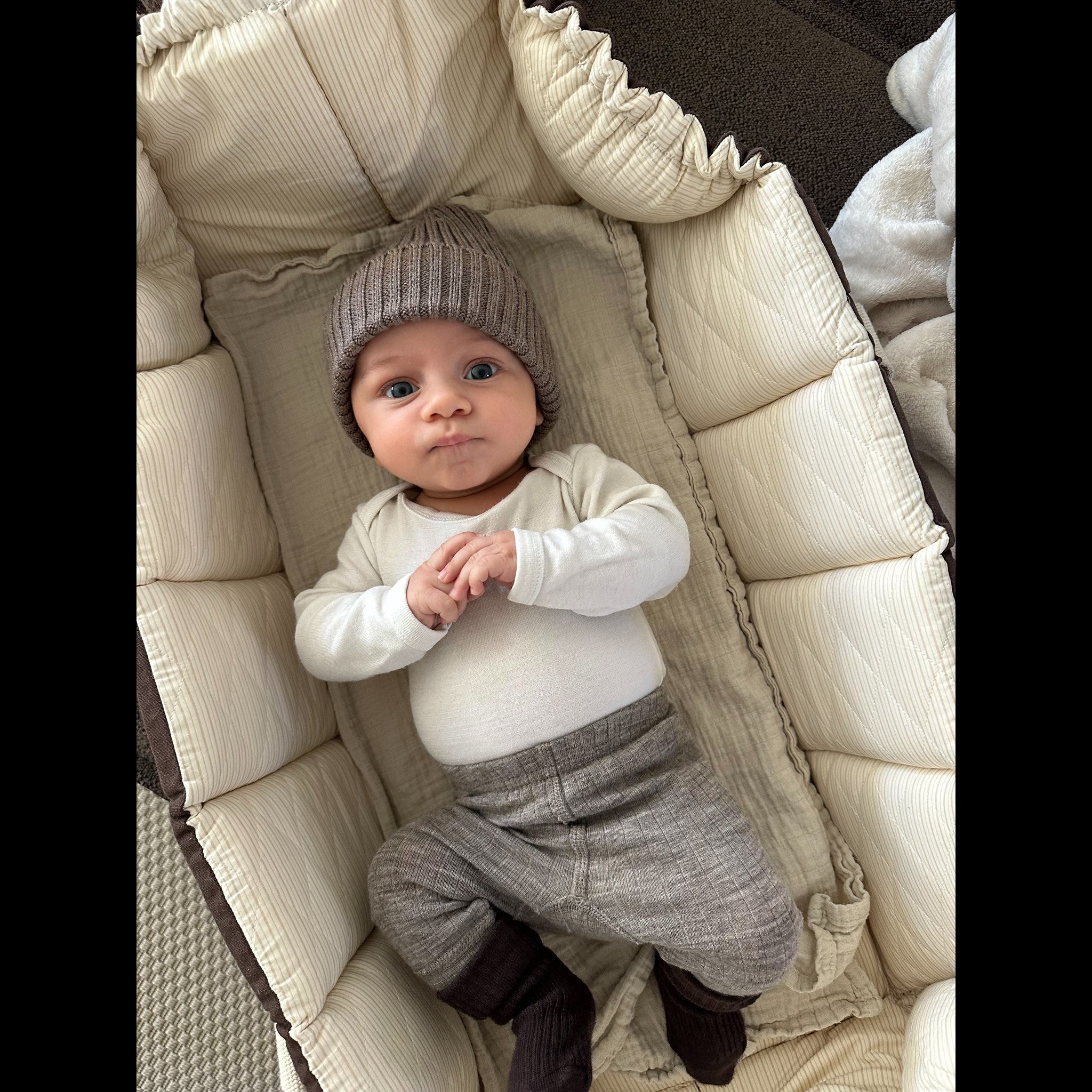 Buy COPENHAGEN COLORS Brown With Cream Solid Stripe Organic