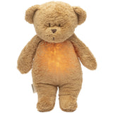 Moonie Cappucino 2.0 Organic Humming Bear With A Lamp