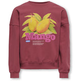 kids ONLY Earth Red Mango Philea Life Overzise Fruit O-neck Sweatshirt
