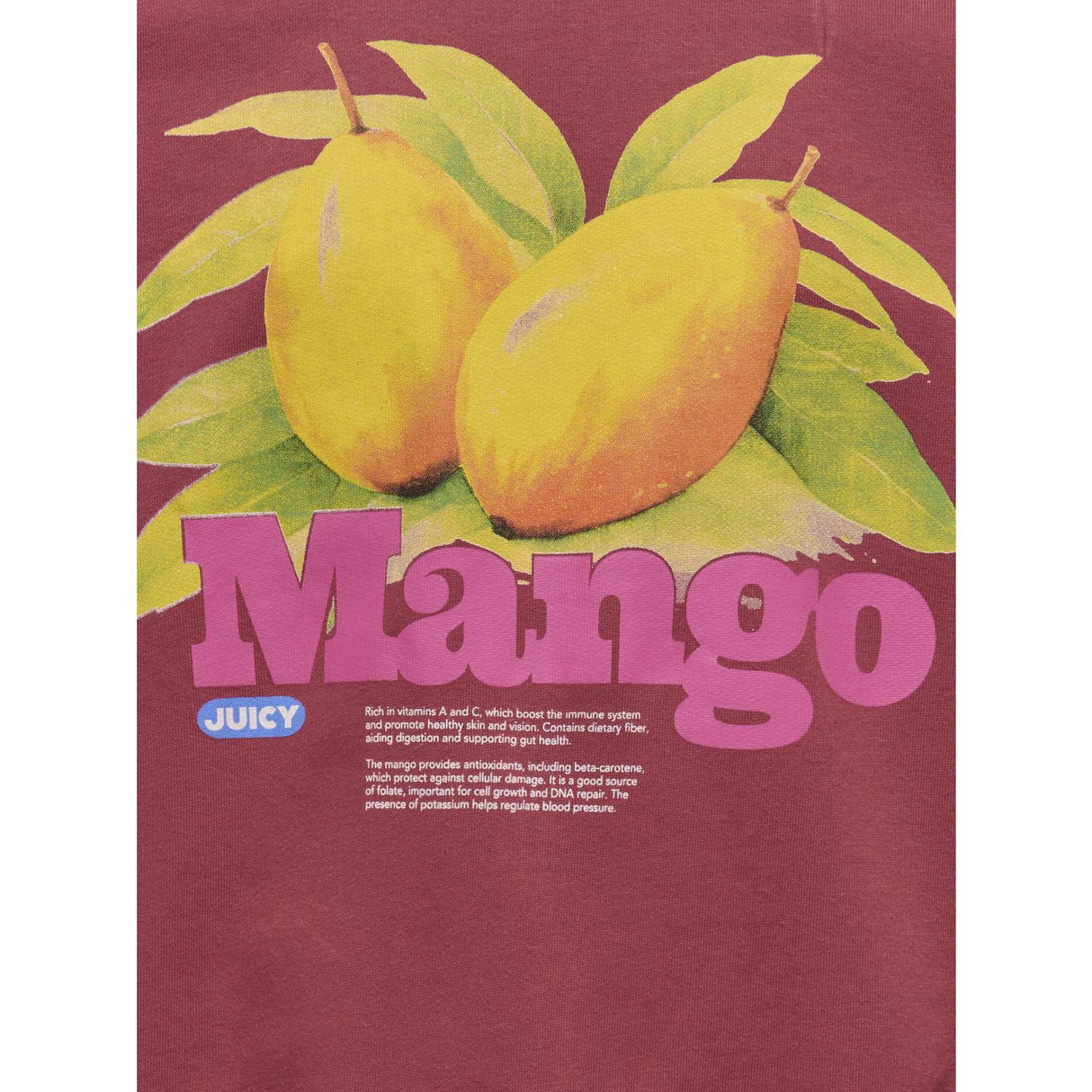 kids ONLY Earth Red Mango Philea Life Overzise Fruit O-neck Sweatshirt