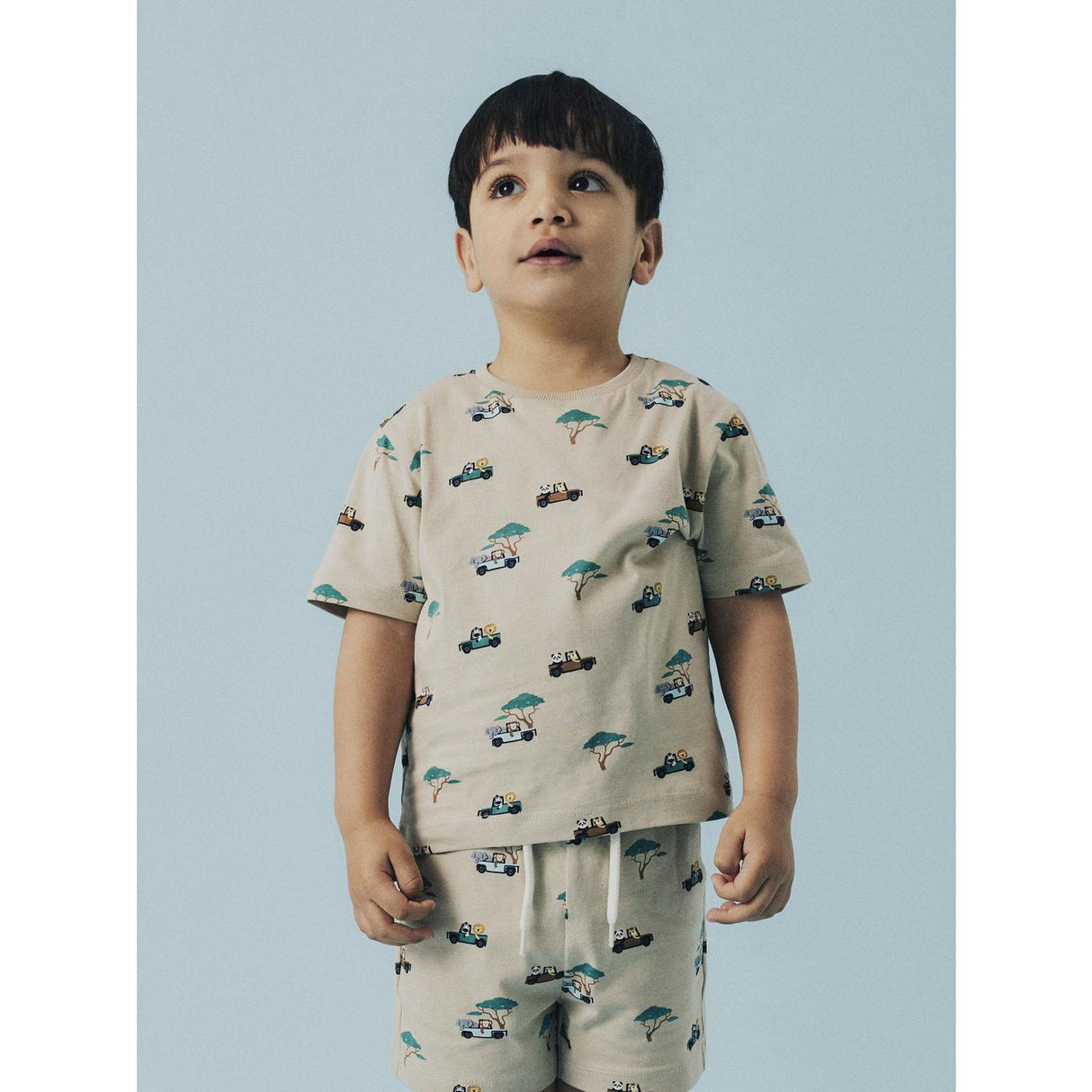 Name It Island Fossil Nmmjivan Ss Nreg Top Pb