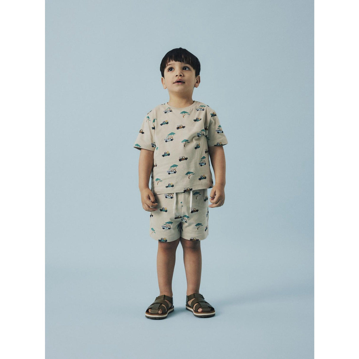 Name It Island Fossil Nmmjivan Ss Nreg Top Pb