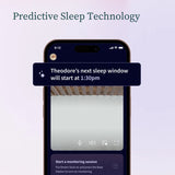 Owlet Mint Dream Sock + Cam2 Bundle