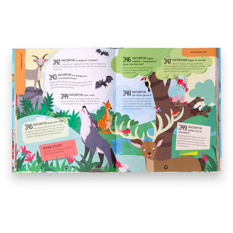 Forlaget Bolden Bogen Med 1000 Spørgsmål - Og Svar