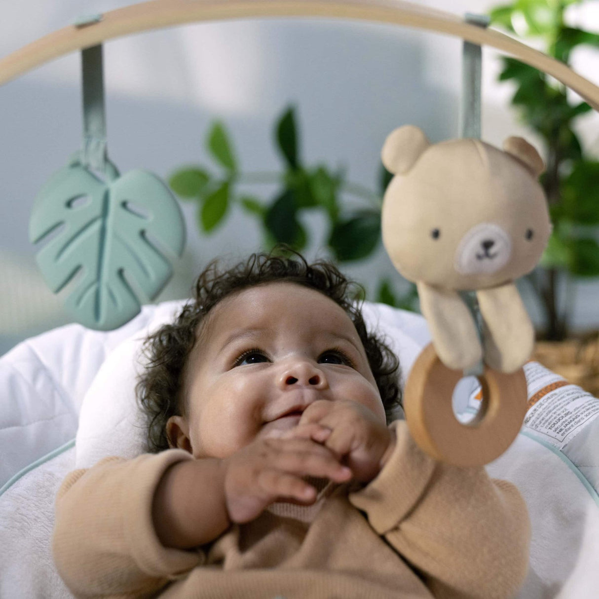 Ingenuity Grey Cosy Spot Baby Bouncer With Activity Arch In Wood