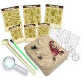 4M Kidzlabs / Creepy Crawly Digging Kit
