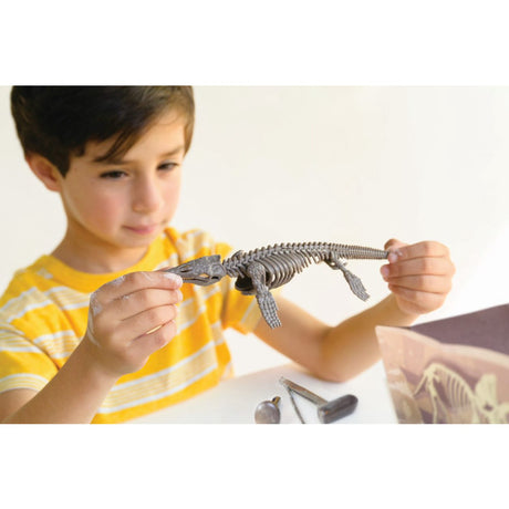 4M Excavate A Mosasaurus-Skeleton