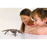 4M Excavate A Mosasaurus-Skeleton