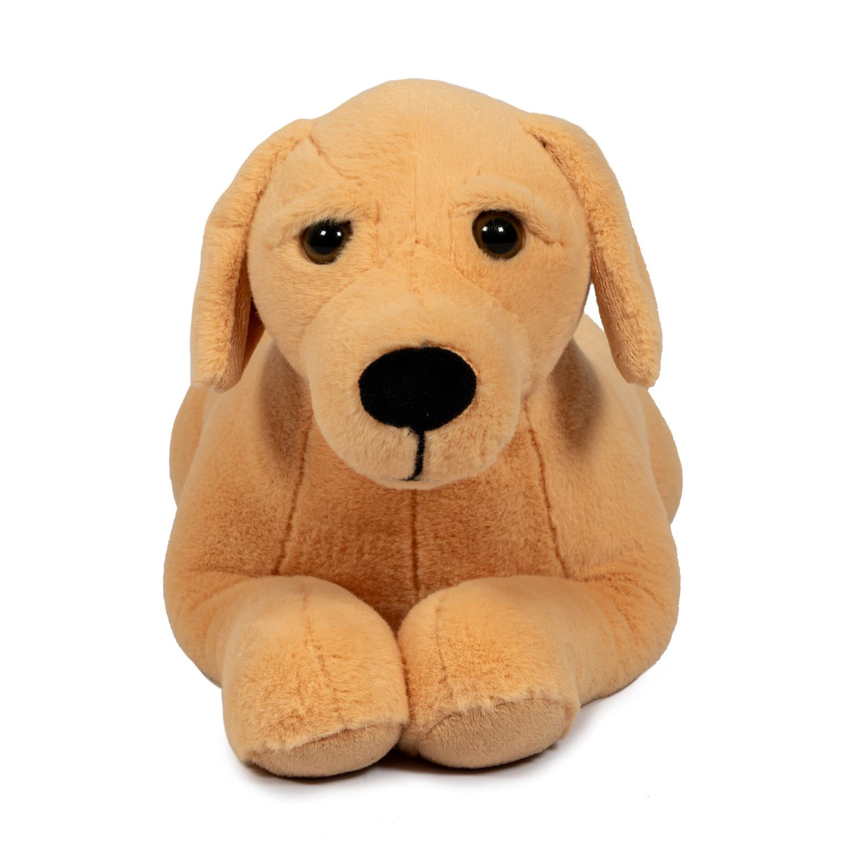 by Astrup Gravitational Dog, 2.2 kg.